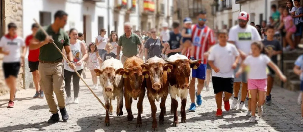 Evento Taurino en Santa Cruz de la Zarza

REMITIDA / HANDOUT por ASOCIACION EMPATÍA
Fotografía remitida a medios de comunicación exclusivamente para ilustrar la noticia a la que hace referencia la imagen, y citando la procedencia de la imagen en la firma
24/8/2026
