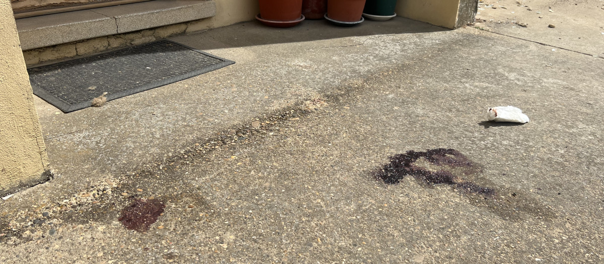 Lugar donde han aparecido dos fallecidos, en la calle Santa Teresa de Veguellina de Órbigo (León)