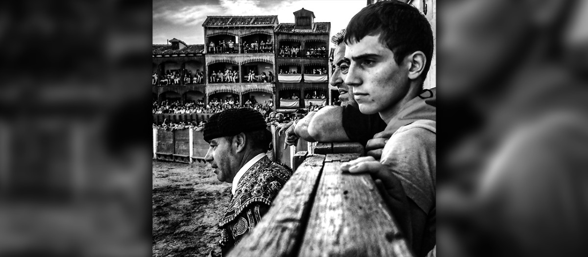 Toros en la Plaza del Coso en Peñafiel