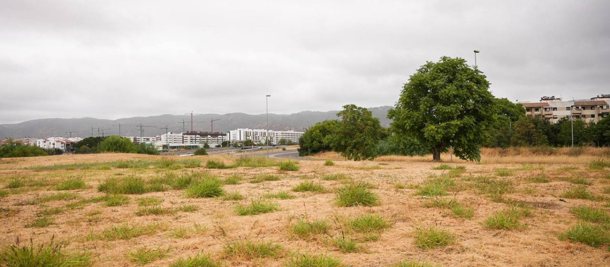 Zona donde irá el nuevo paruqe que se suma al Anillo Verde de Córdoba
