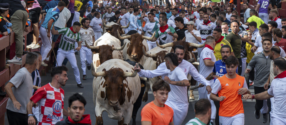 Primer encierro de las fiestas de San Sebastián de los Reyes