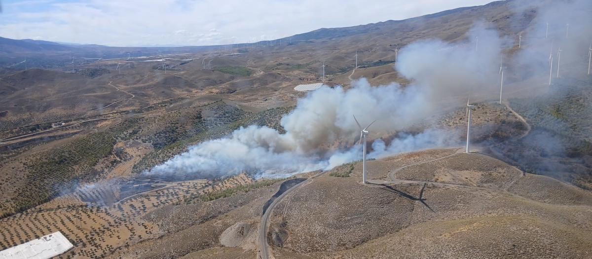 Incendio forestal en Las Tres Villas (Almería)