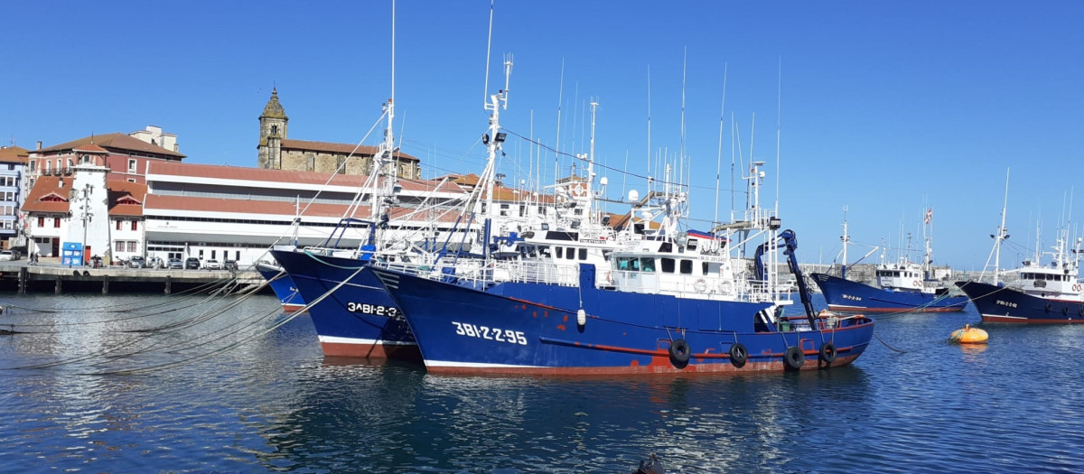 Barcos pesqueros en el puerto de Bermeo (Vizcaya)