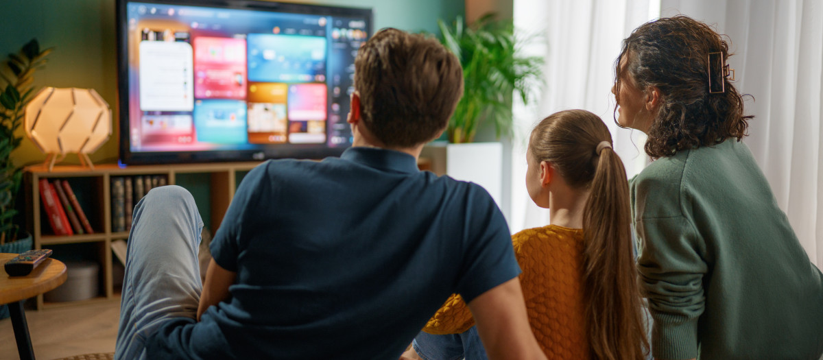 Las plataformas principales son: Netflix, Disney, Amazon, HBO, Filmin, Movistar+ y AppleTV