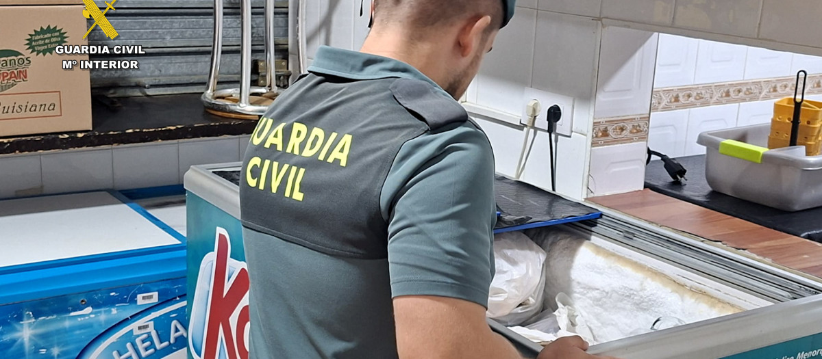 Un agente de la Guardia Civil, durante la inspección