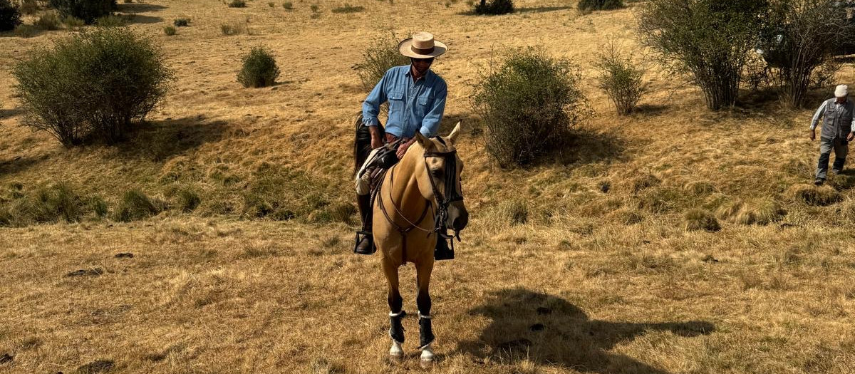 conde-teba