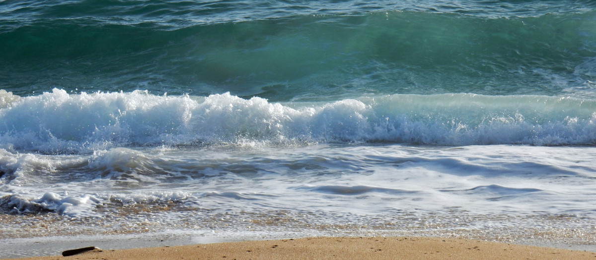 Olas de mar en una playa