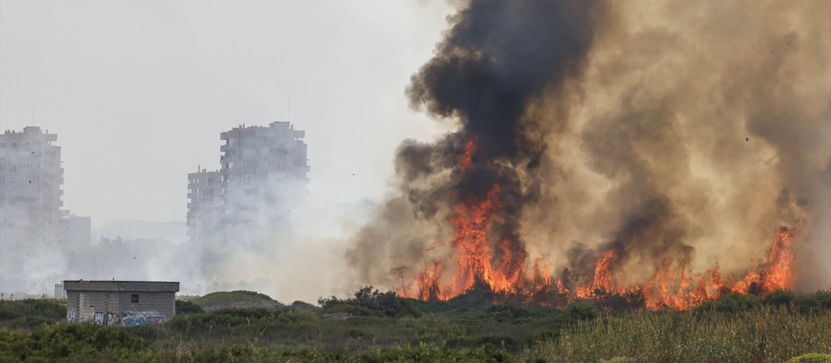 Fuego y columna de humo provocada por un incendio forestal de El Saler (Valencia)