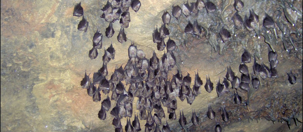 Cueva de la Judía