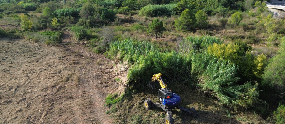 Imagen de tabajos de mantenimiento en el barranco de Carraixet a su paso por Bétera, en Valencia