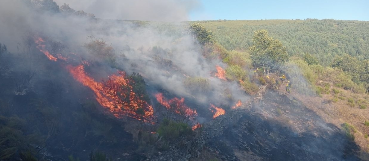 Incendio Sosas de Laciana, León