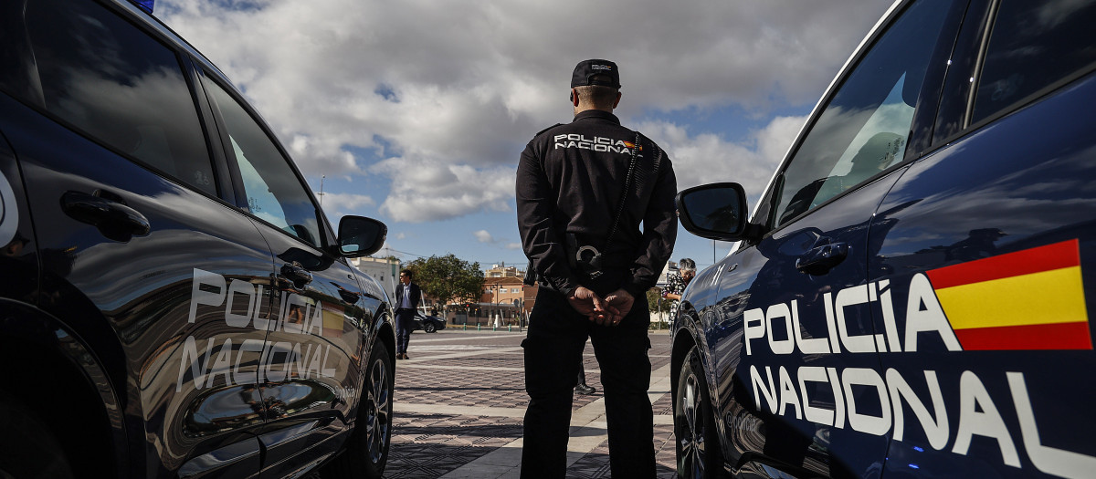 Imagen de un agente de la Policía Nacional