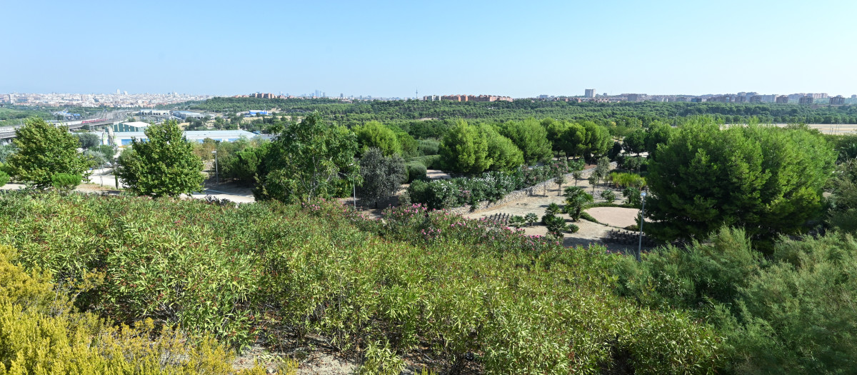 Imagen de la zona del cerro mirador desde donde hay una vista privilegiada 

Parque de las Autonomías