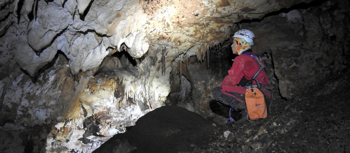 El Grupo Espeleológico Edelweiss estudia los murciélagos en las cuevas de Burgos