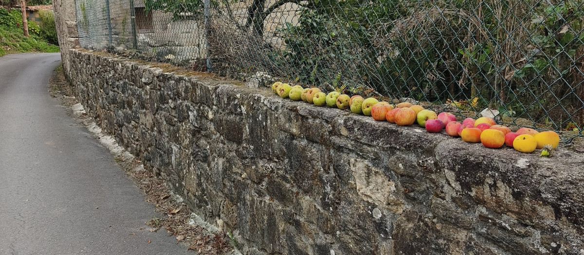 Fruta para los peregrinos
