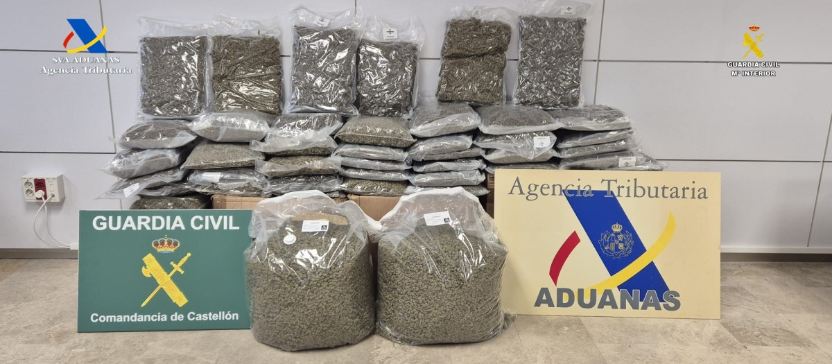 Imagen de la marihuana incautada