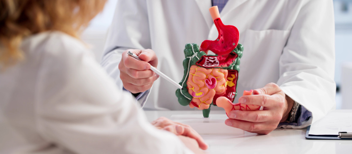 Cáncer de intestino