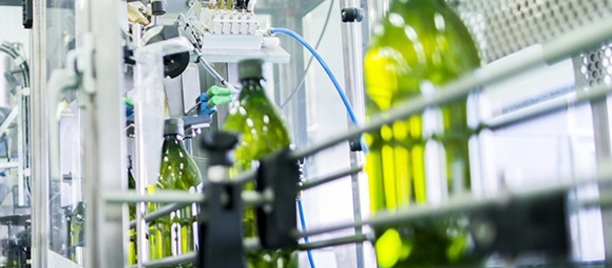 Envasado de aceite de oliva