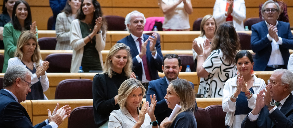 La bancada popular aplaude durante una sesión plenaria en el Senado