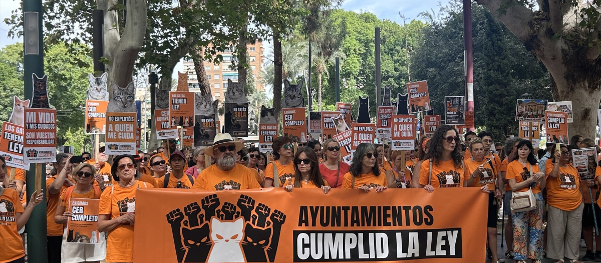Movilización en Murcia por el cuidado de las colonias felinas