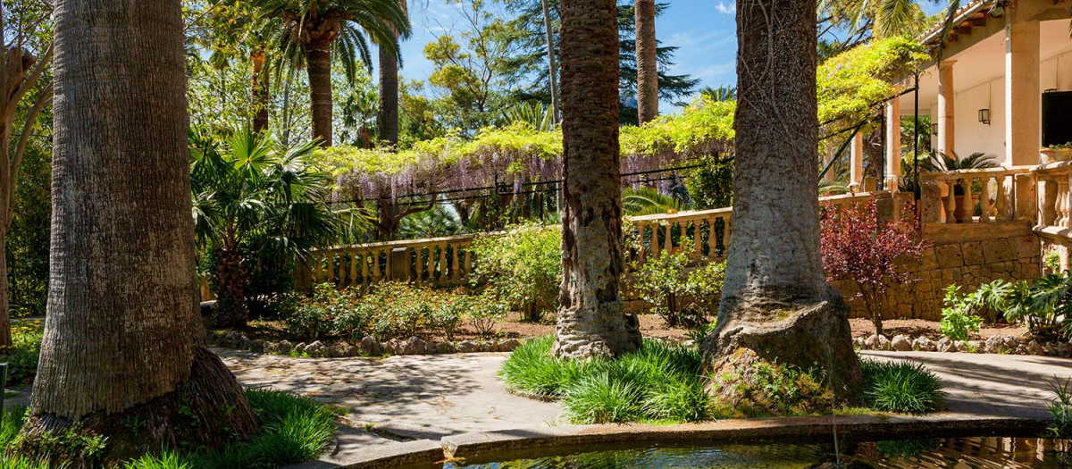 Un oasis en la Serra