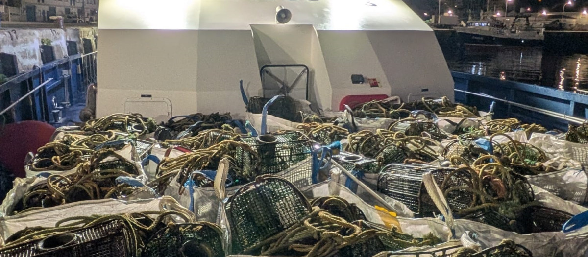 El Servizo de Gardacostas de Galicia retira más de 1.000 nasas e incauta 286 kilos de marisco en una semana

XUNTA DE GALICIA / Europa Press
13/9/2026