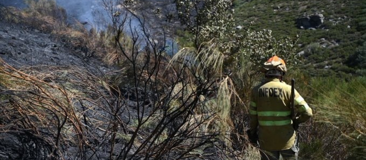 Un efectivo de Infoex en el incendio de Tornavacas