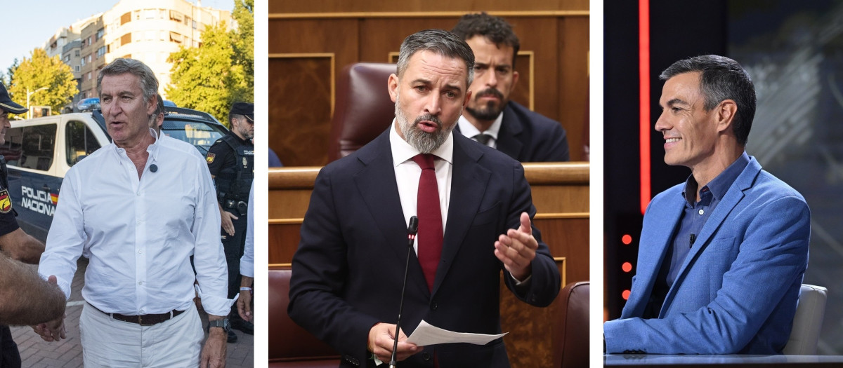 Alberto Núñez Feijóo, Santiago Abascal y Pedro Sánchez, en imágenes de archivo
