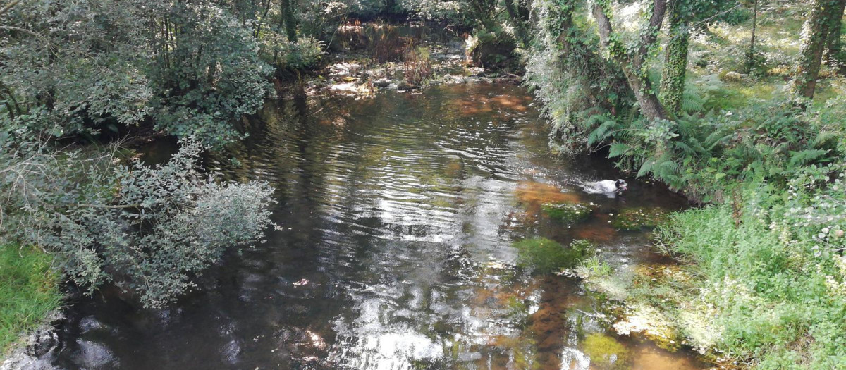 La enorme fuga de purín en Galicia: una fosa con más de un millón de litros se rompe y el vertido avanza hacia un río