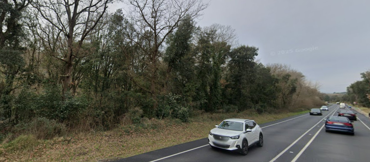 Zona boscosa junto a la urbanización Aiguaviva Parc de Vidreres