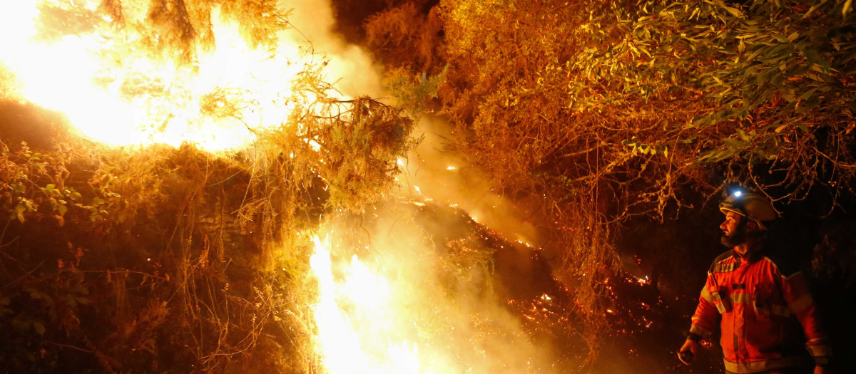 Más de 20 hectáreas calcinadas en un incendio en la montaña de Quiroga (Lugo) que se complica por los continuos cambios de viento