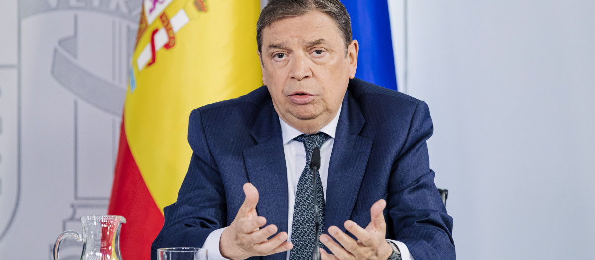 El ministro de Agricultura, Pesca y Alimentación, Luis Planas, interviene durante una rueda de prensa posterior al Consejo de Ministros