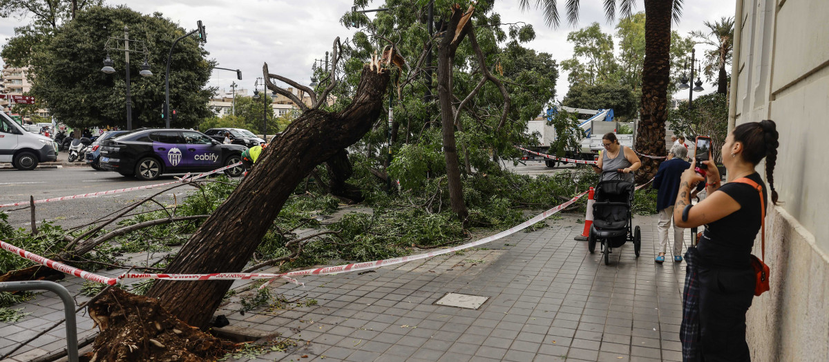 Imagen de los efectos del temporal en Valencia