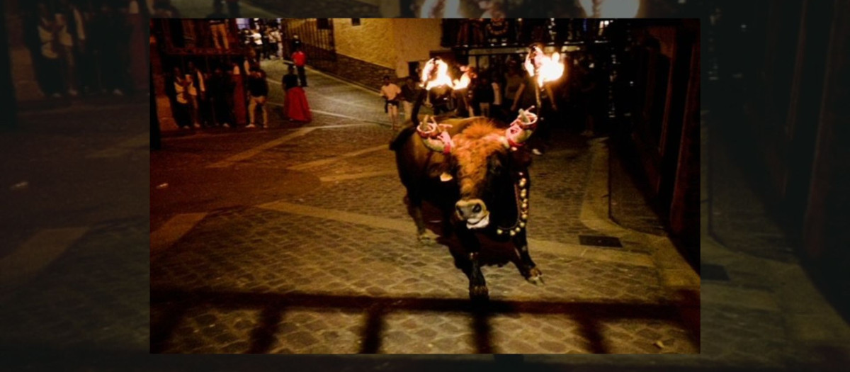 El toro embolado en Alcalá de la Selva
