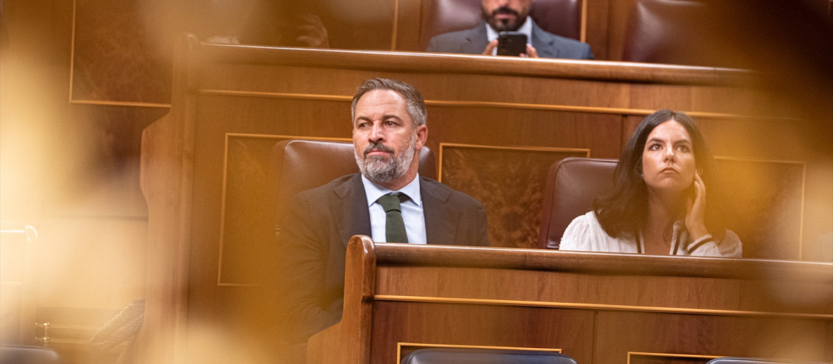 El presidente de Vox, Santiago Abascal, durante una sesión plenaria en el Congreso de los Diputados