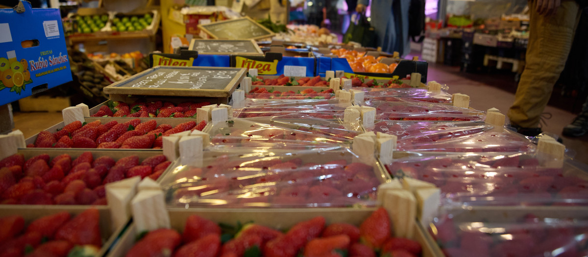 Fresas en un expositor de una frutería en un mercado
