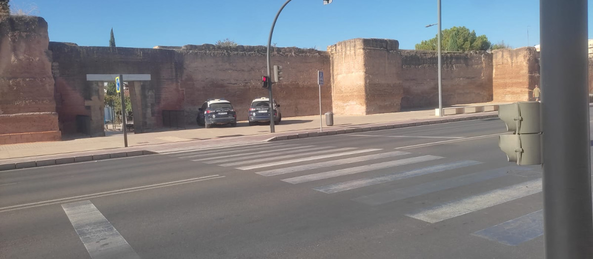 Coches de la Policía Nacional en el Jardín de los Poetas