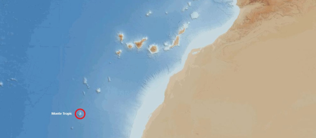 Monte Tropic