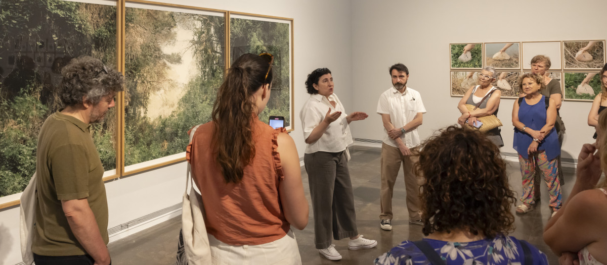 Sala de la exposición ‘La Albufera’ del IVAM