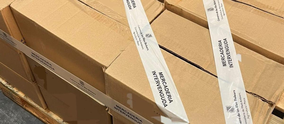 Vista de las cajas de las botellas intervenidas de vino falso menorquín.