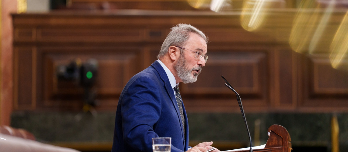El diputado de Carlos Flores, durante una sesión plenaria en el Congreso, en una imagen de archivo