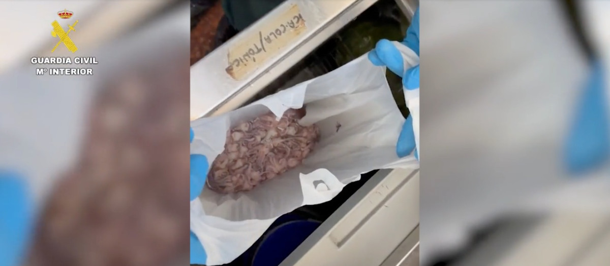 Alimentos intervenidos por la Guardia Civil en la Feria del Valle de Lucena