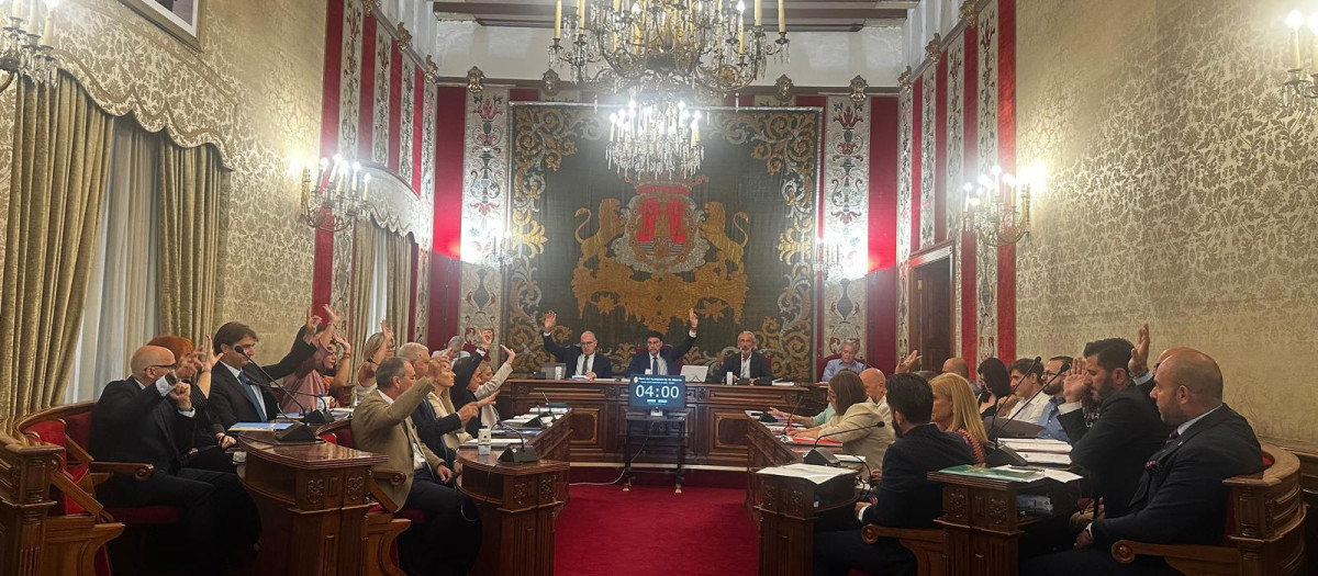 Imagen tomada este jueves durante el Pleno del Ayuntamiento de Alicante