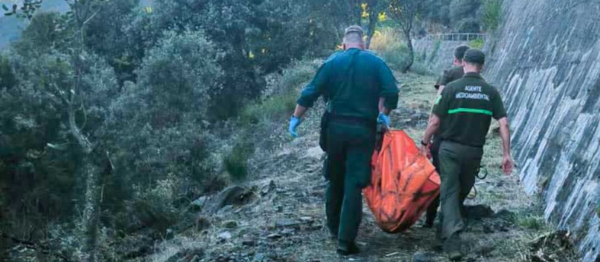 Agentes de la Guardia Civil trasladan el cadáver de un osezno en León