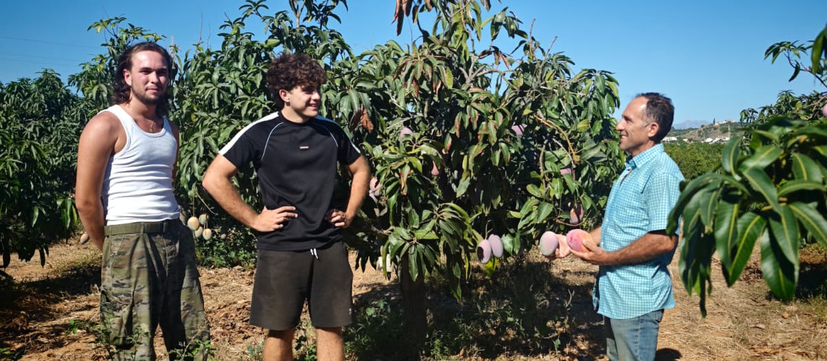 Francisco Ortega, junto con su hijo en la finca donde cultiva mangos