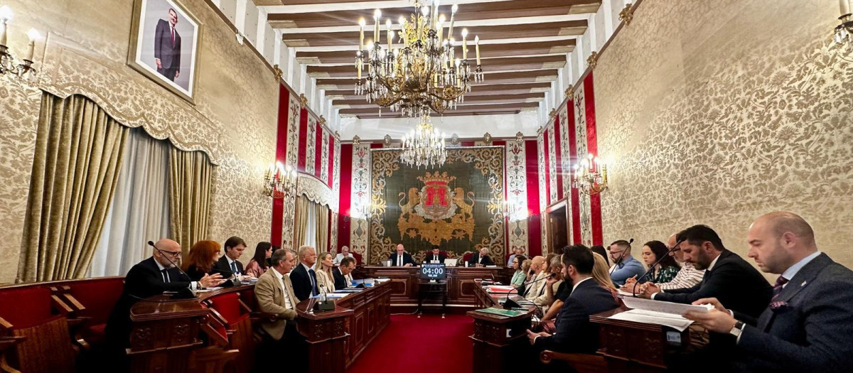 Imagen tomada este jueves durante el Pleno del Ayuntamiento de Alicante