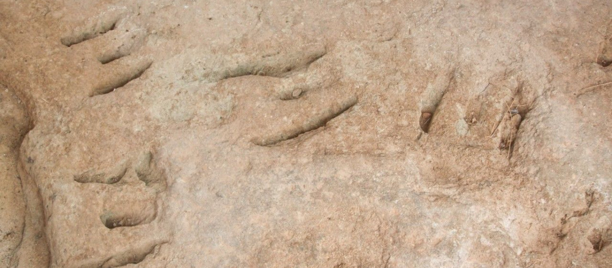 Las huellas de los dinosaurios