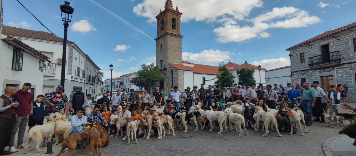 Concentración de rehaleros en Añora (Córdoba)