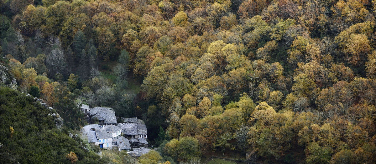 El plan de otoño que Galicia lleva 20 años ofreciendo y que muchos todavía no conocen