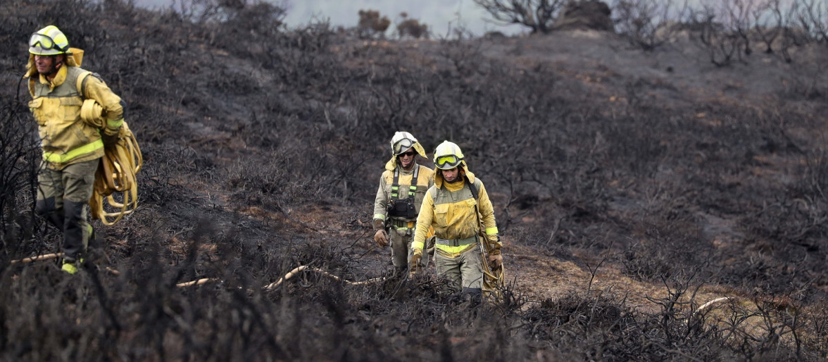 Varios bomberos trabajan sobre el terreno quemado en Ourol, Lugo